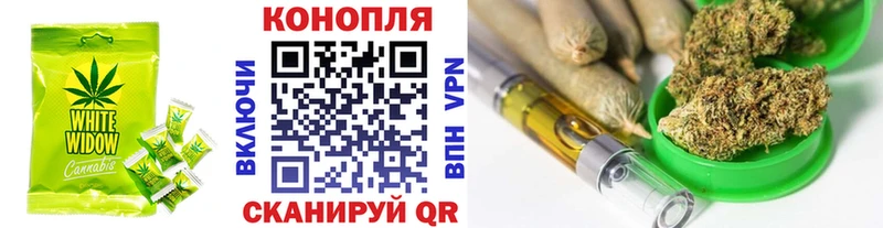 Cannafood конопля как найти Новоржев