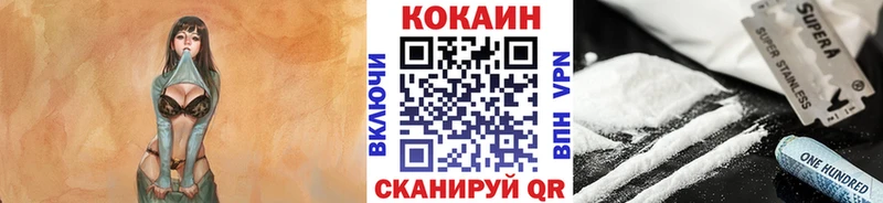 где можно купить наркотик  Новоржев  КОКАИН Эквадор 