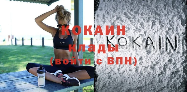 прущий лед Дмитриев