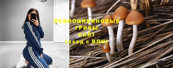 спайс Дмитровск