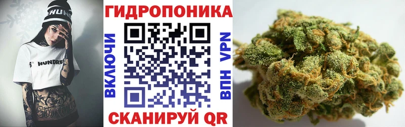 Конопля индика  Новоржев 